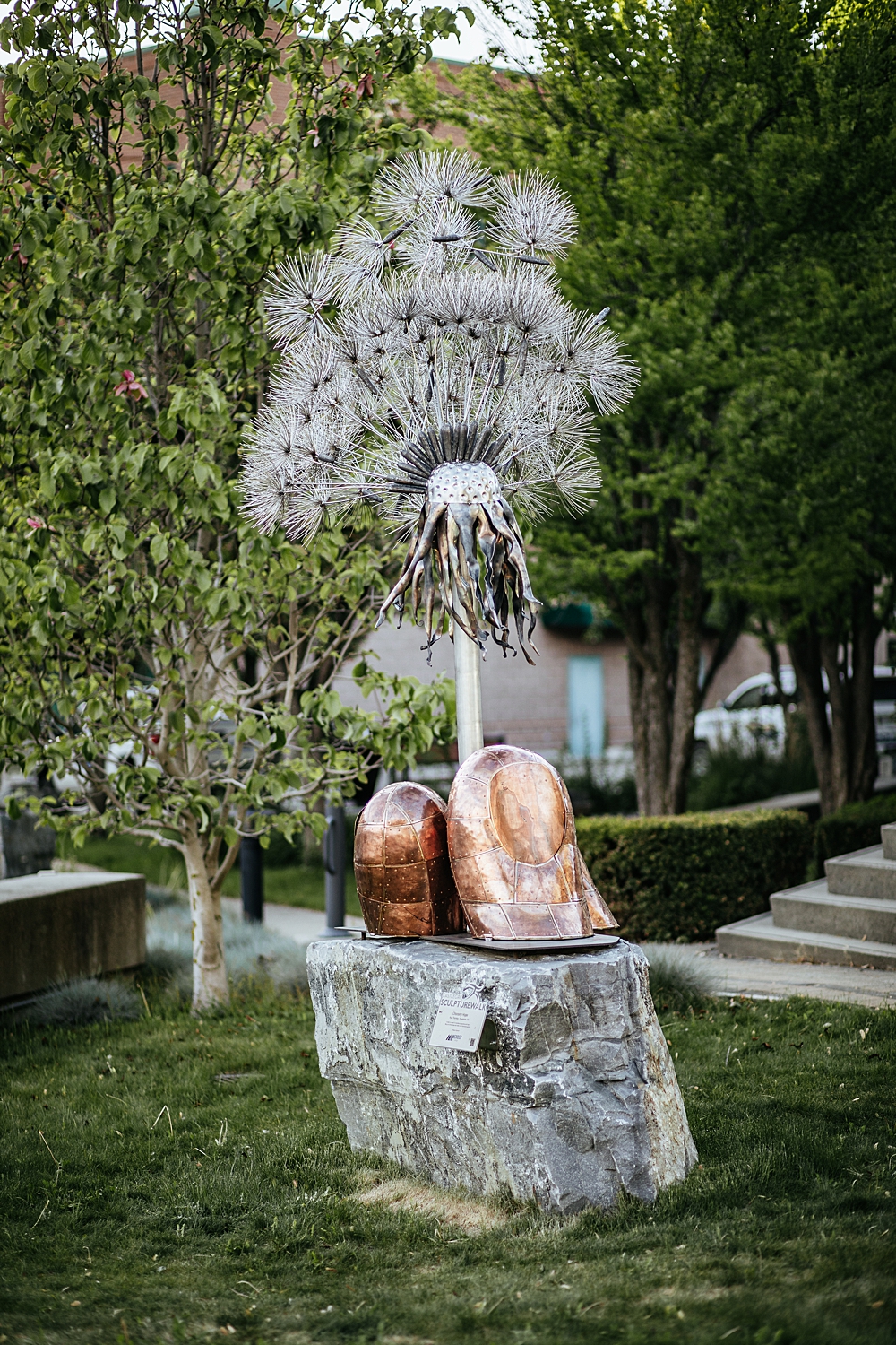 large-metal-dandelion-sculpture-with-copper-fingers-displayed-outside-on-a-concrete-pad-in-castlegar